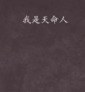 我是天命人 我是天命人