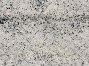 子爵白 | Viscount White |