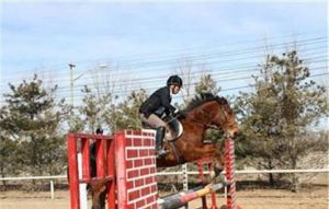 騏驥馬術俱樂部