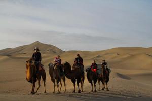 騎駱駝沙漠露營