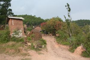 沙水塘自然村 沙水塘自然村