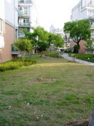 運盛美之苑 運盛美之苑