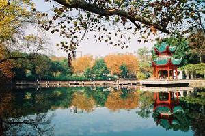 中南大學南校區荷花池