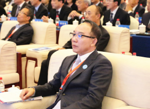 楊波出席2016年江蘇發展大會