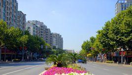 集慶門大街 集慶門大街