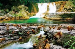 蟒河旅遊區 蟒河旅遊區