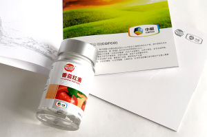 中糧屯河、西林設計