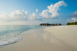 伊露薇麗 伊露薇麗