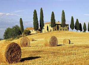 秸稈循環利用 秸稈循環利用