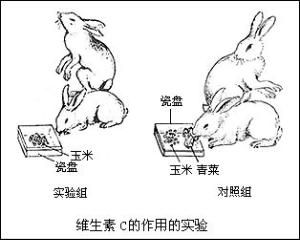 對照組實驗 對照組實驗