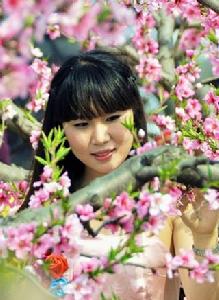 叢中笑[盛維凱執導電視劇]