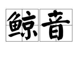 鯨音 鯨音