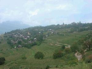 菇蒜登村 菇蒜登村