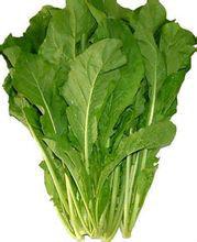 芝麻香菜 芝麻香菜