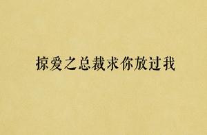 掠愛之總裁求你放過我 掠愛之總裁求你放過我