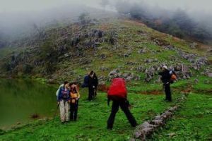 百里荒草原風景區 百里荒草原風景區
