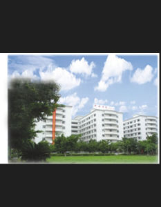 廣東新安職業技術學院 廣東新安職業技術學院