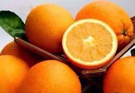 崀山臍橙 崀山臍橙