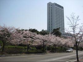 又石大學 又石大學