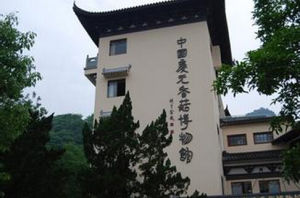 慶元縣香菇博物館 慶元縣香菇博物館