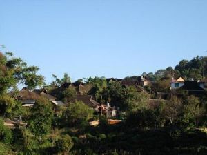 老龍寨自然村 老龍寨自然村