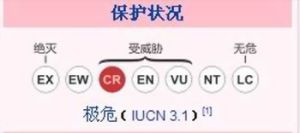 保護狀況