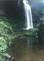 龍蒼溝森林公園 龍蒼溝森林公園