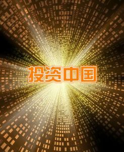 《投資中國》