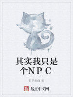 其實我只是個NPC 其實我只是個NPC