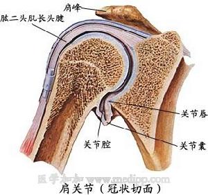 肩關節炎
