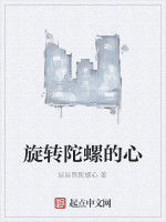 旋轉陀螺的心 旋轉陀螺的心