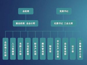 國電蚌埠發電有限公司