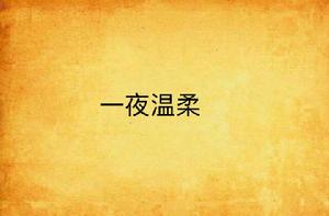 一夜溫柔 一夜溫柔