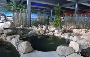 一泓溫泉 一泓溫泉