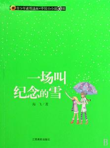 一場叫紀念的雪 一場叫紀念的雪