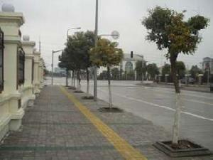 嘉定頤景園 嘉定頤景園