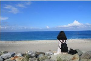 半自由行 半自由行