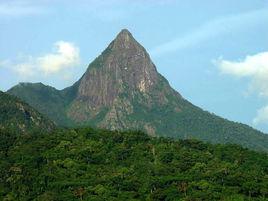 尖峰嶺森林公園 尖峰嶺森林公園