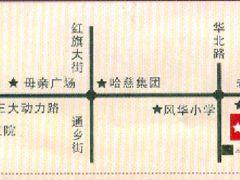 富麗國際 富麗國際