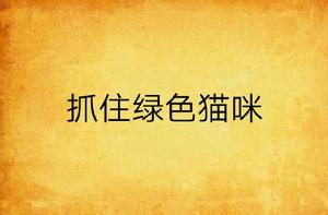 抓住綠色貓咪 抓住綠色貓咪