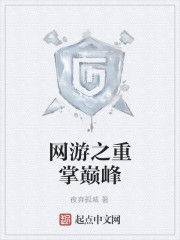 網遊之重掌巔峰 網遊之重掌巔峰