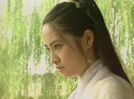 閃電[張衛健版電視劇《少年張三豐》劇中人物]