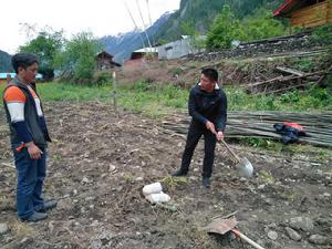 2018年5月阿扎村一角