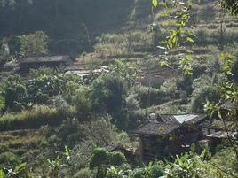 竹園自然村 竹園自然村