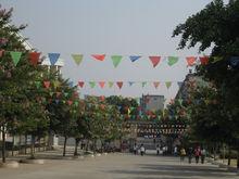 學校寬大的馬路