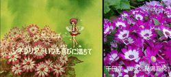 花仙子[日本系列動畫]