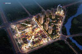 華聯國際城 華聯國際城