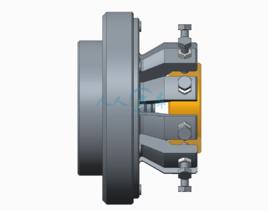 定心[道家術語]