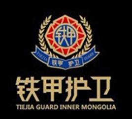 鐵甲護衛 鐵甲護衛