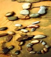 北京林業大學山諾會